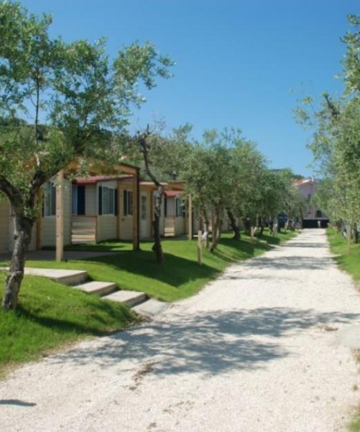 fontanamarina it camping-nelle-marche 016