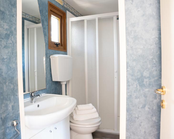 Salle de bain avec douche, lavabo et murs bleus.
